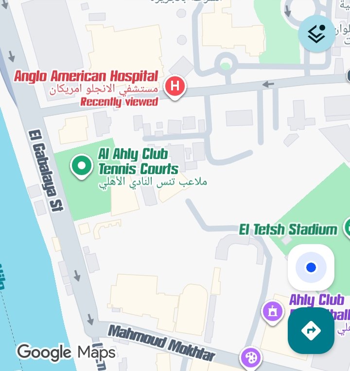 Anglo Hospital Dr Hassan el Shafei